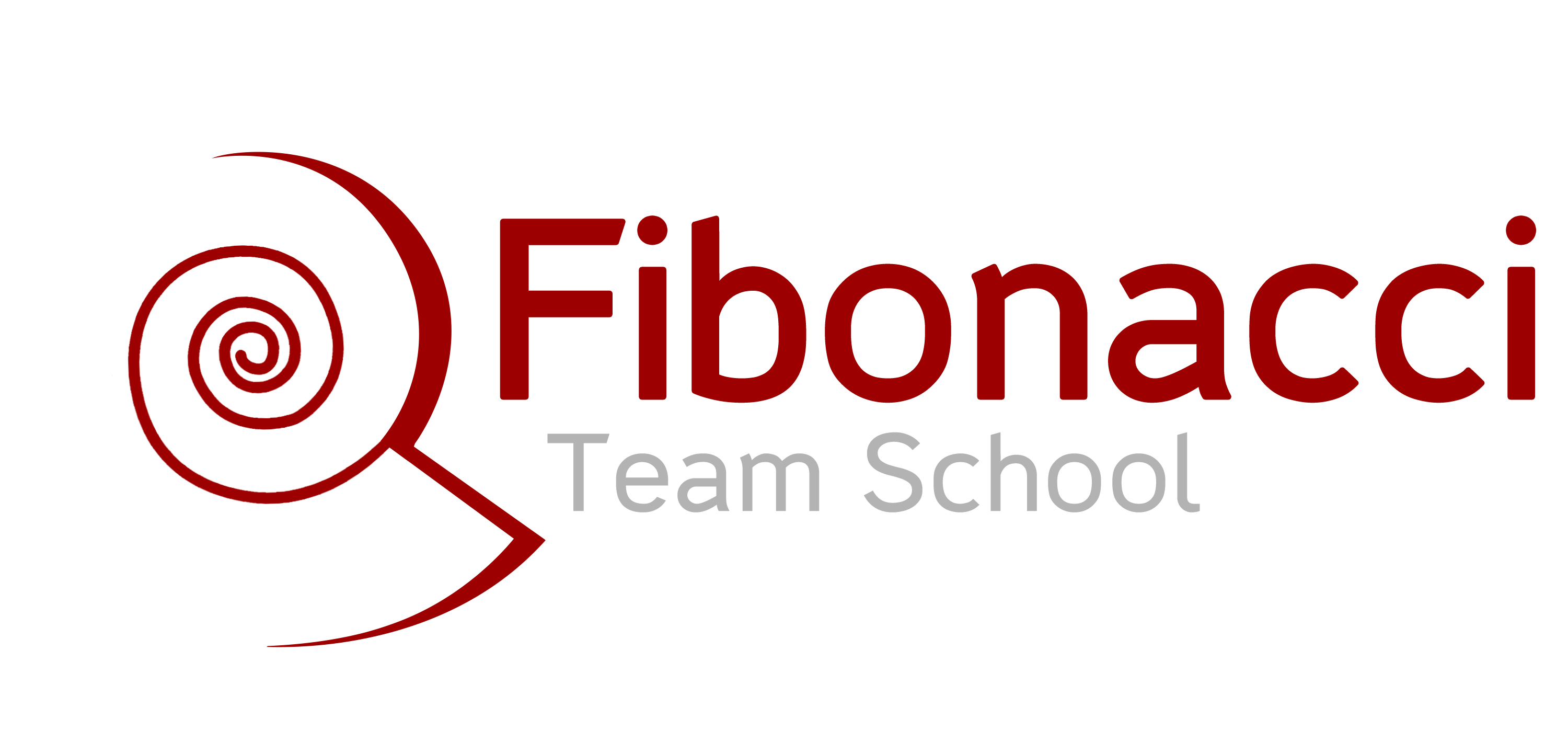 Logo Fibonacci Team School