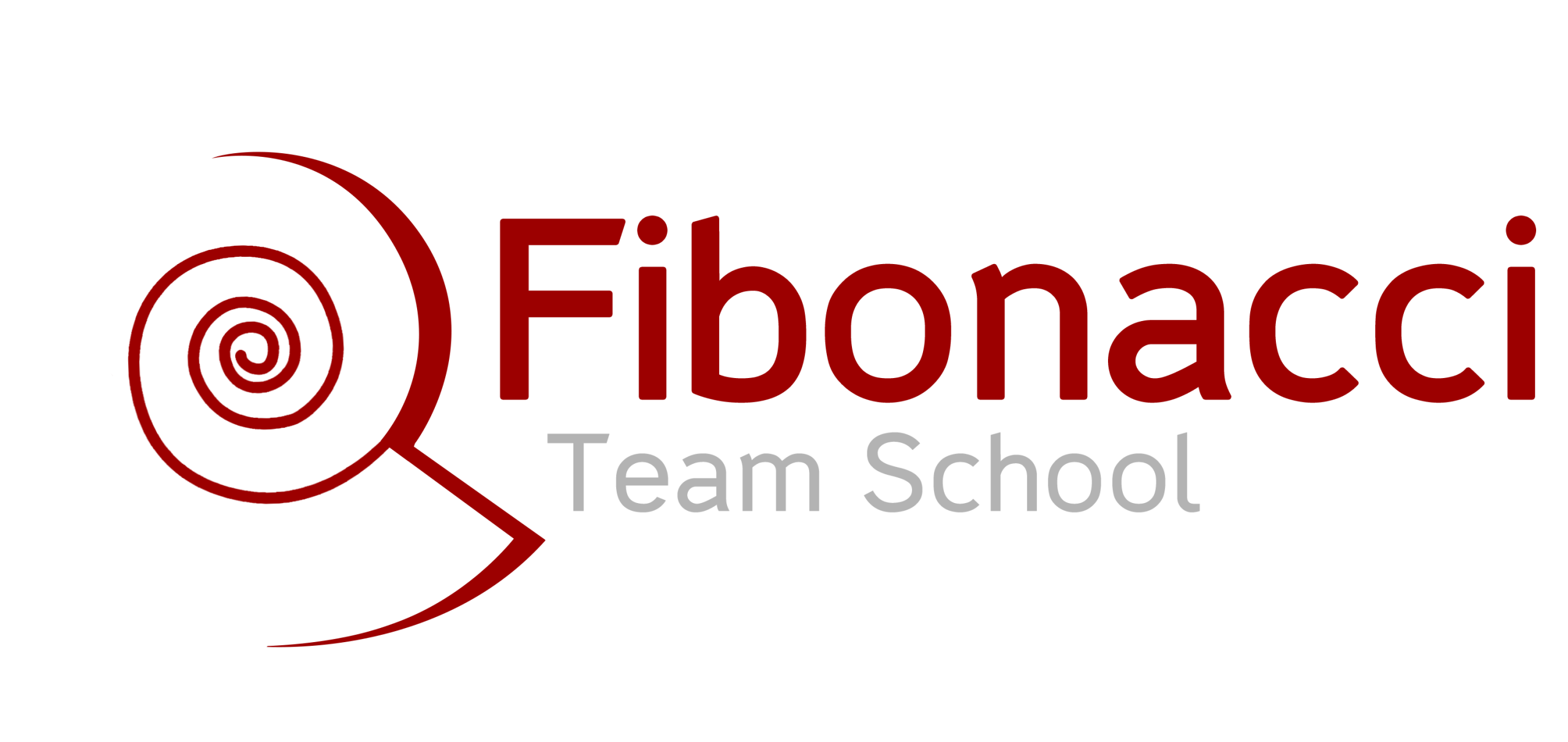 Logo Fibonacci Team School